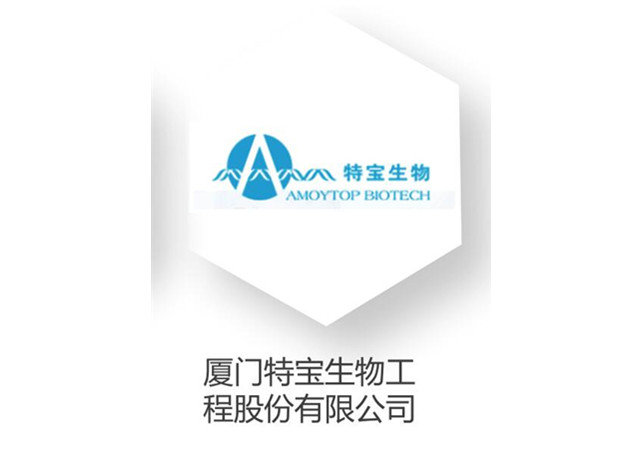 �����͑�(h��)